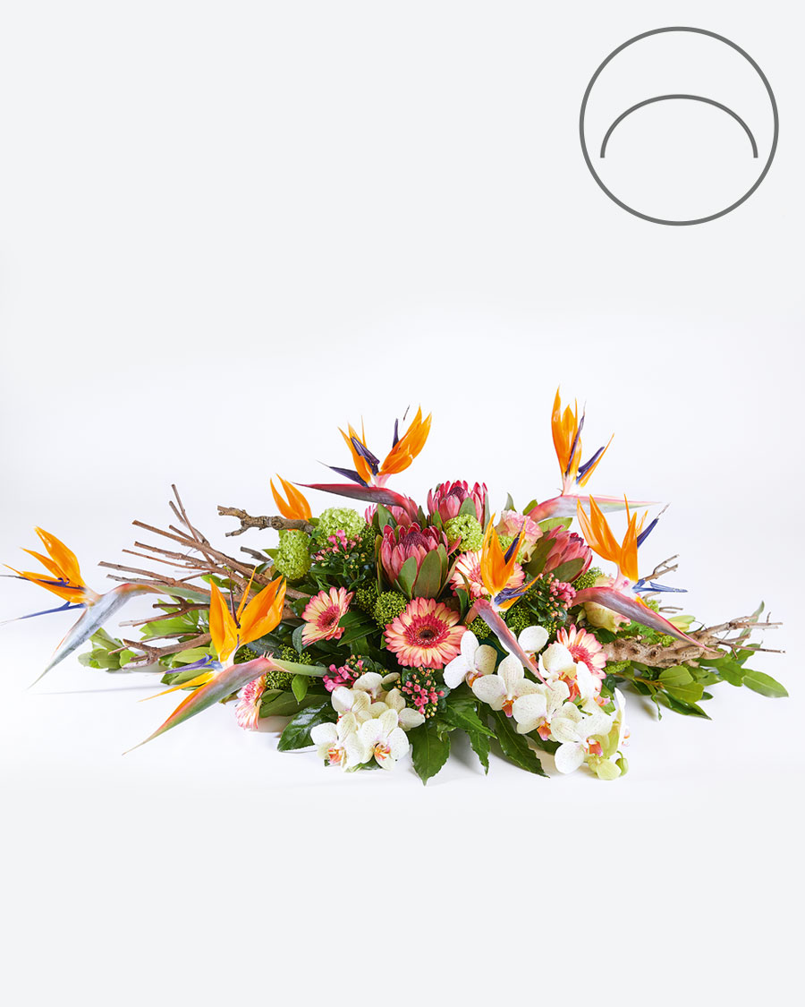 Varjatult kohal | leinaseade