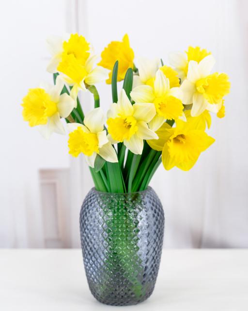 Local daffodils 