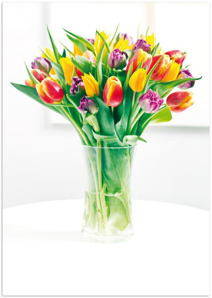 Kaart: VÄRVIDE PILLERKAAR